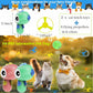 Colorful Flying Propeller Toy – Interactive Outdoor Chase & Catch Toy for Kids